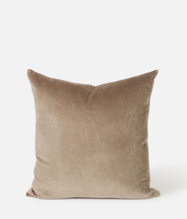 Velvet Cushion 2