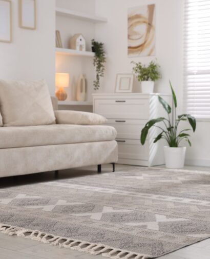 Comfortable sofa and stylish rug in room. Interior design
