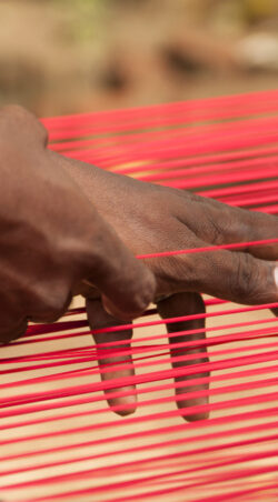 Weaving Kanchipuram silk sari, Kanchipuram is famous for hand woven silk sarees.